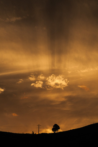 sunset newzealand summer cloud silhouette landscape sandybay