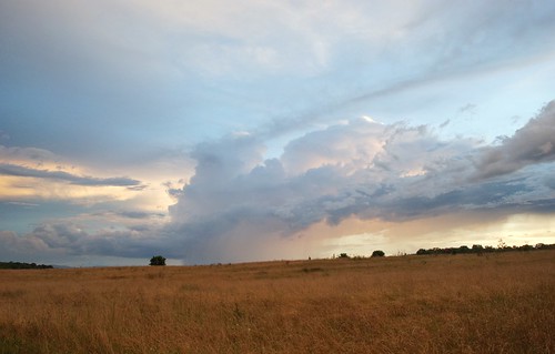 rainshaft storm field tree clouds