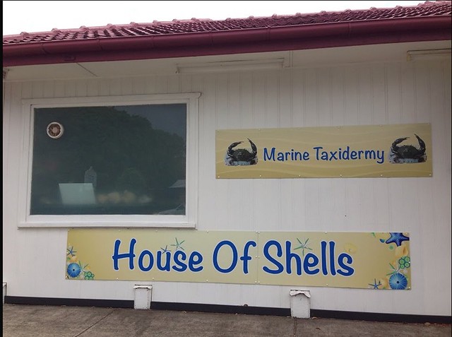 House of Shells and Marine Taxidermy, Cleveland QLD 4163
