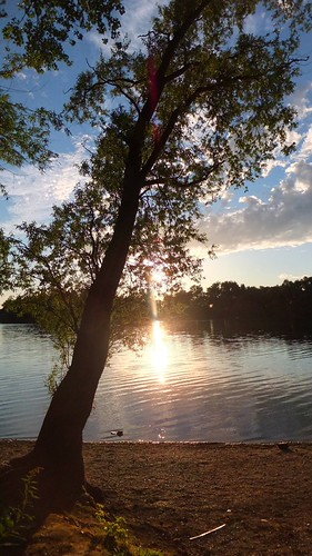 Altrhein bei Sondernheim by mark@pfalz, Old part of the Rhine-river near Sondernheim, Southwest-Germany.sunset sonnenuntergang rhein 太陽 baum