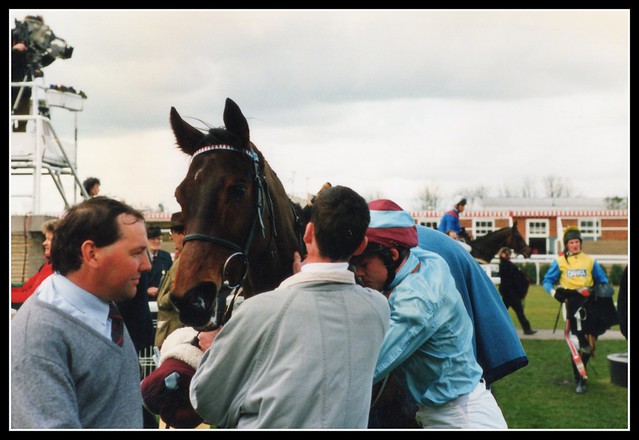 Meleagris ( jockey Adrian Maguire & finished 2nd place  ) in the winners enclosure after the 1.50 race at Newbury  25th March 1995. Note in the yellow silks jockey W Marston who rode Willsford in the race.