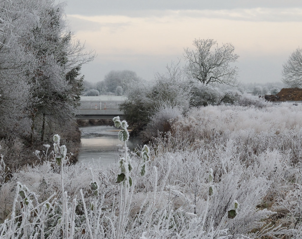 Frost; River Ray 12 December 2012