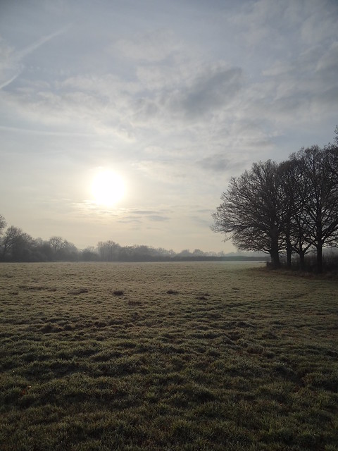 Winter Scenery - Willoughby Fields