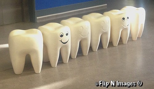 Dentist time | by Flip N Images