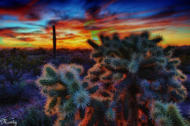 Sunset, Gold Canyon, Arizona, USA