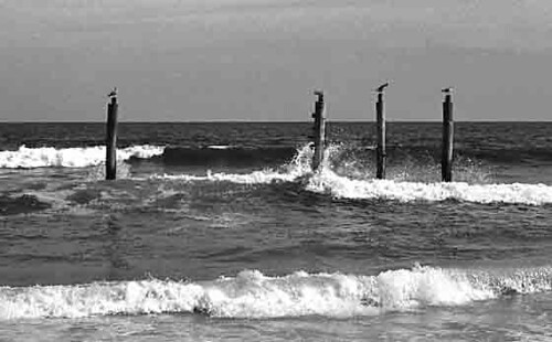 Beach Haven pilings in 1977