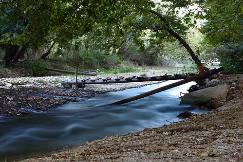 longexposure bridge light summer motion tree travelling green water leaves horizontal forest plane river flow outdoors wooden movement bush branch stones bank nopeople greece step trunk root plank current platanos ioannina louros terovo
