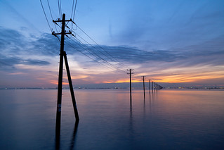Utility Poles on the Sea