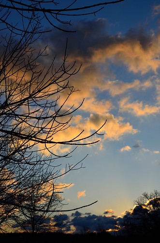 ohio sky tree clouds sunrise nikon branch kettering 42365 nikond5100 kkfrombb feb2013 11feb2013