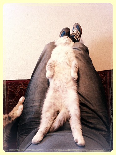Catatonic | by ScottGorman79