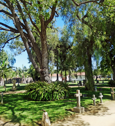 missionsanluisrey californiamissions elcaminoreal cemetery catholicchurch dgrahamphoto gravestones crosses trees oaktrees usa landscapes