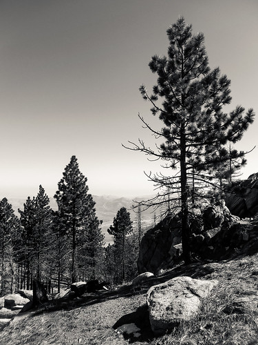 trees nature canon landscape outdoors hiking scenic powershot vegetation southerncalifornia sequoianationalforest piutemountains southernsierranevadamountains sx260