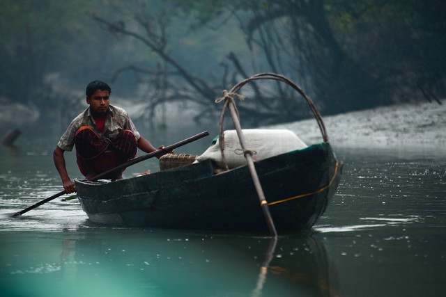 Pêcheur dans les Sundarbans, fisherman in Sundarbans, Bangladesh (Philippe Guy)