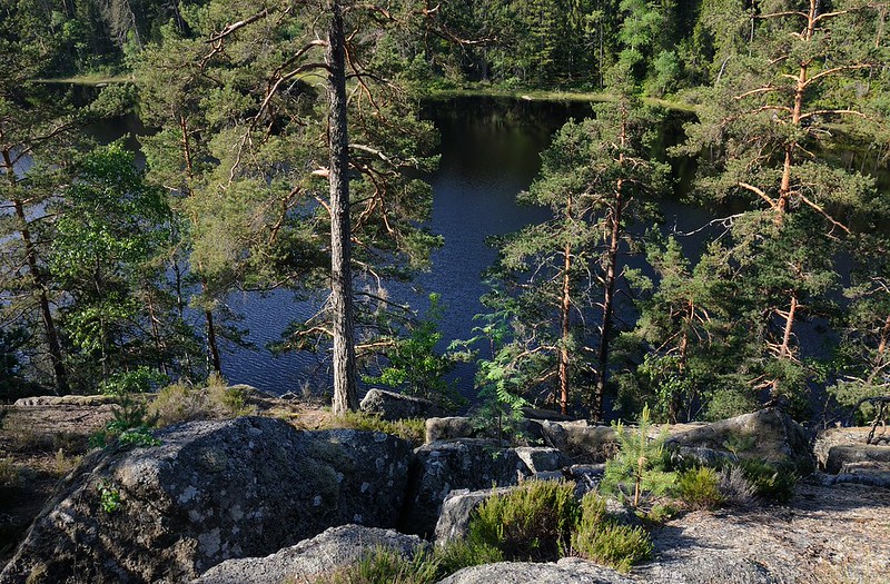20180523-060F | oberhalb des Stora Trehörningen im Tiveden-Nationalpark. Västergötland - Närke / Schweden, 23.05.2018