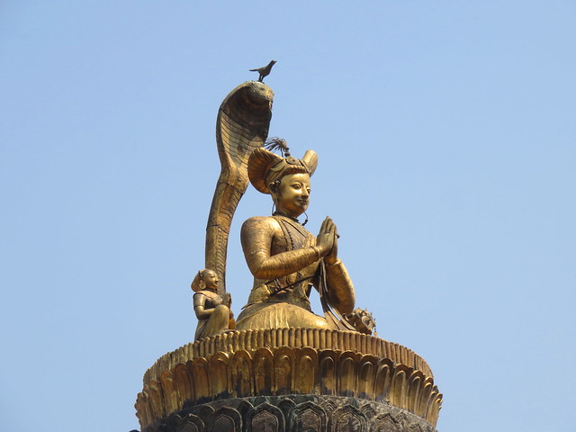 The Stone Bird From Patan , when she fly peace will come