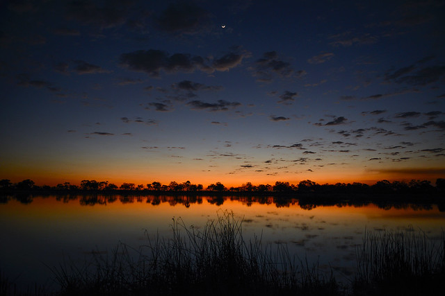 Botswana - Crescent Moon at Twilight