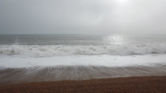 Dorset shore.