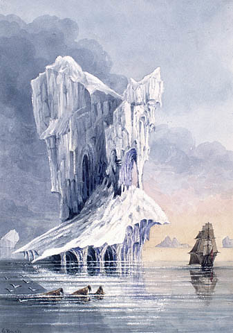 Un iceberg, le HMS Terror et quelques morses près de l'entrée du détroit d'Hudson / An iceberg, HMS Terror and walruses near the entrance of Hudson Strait