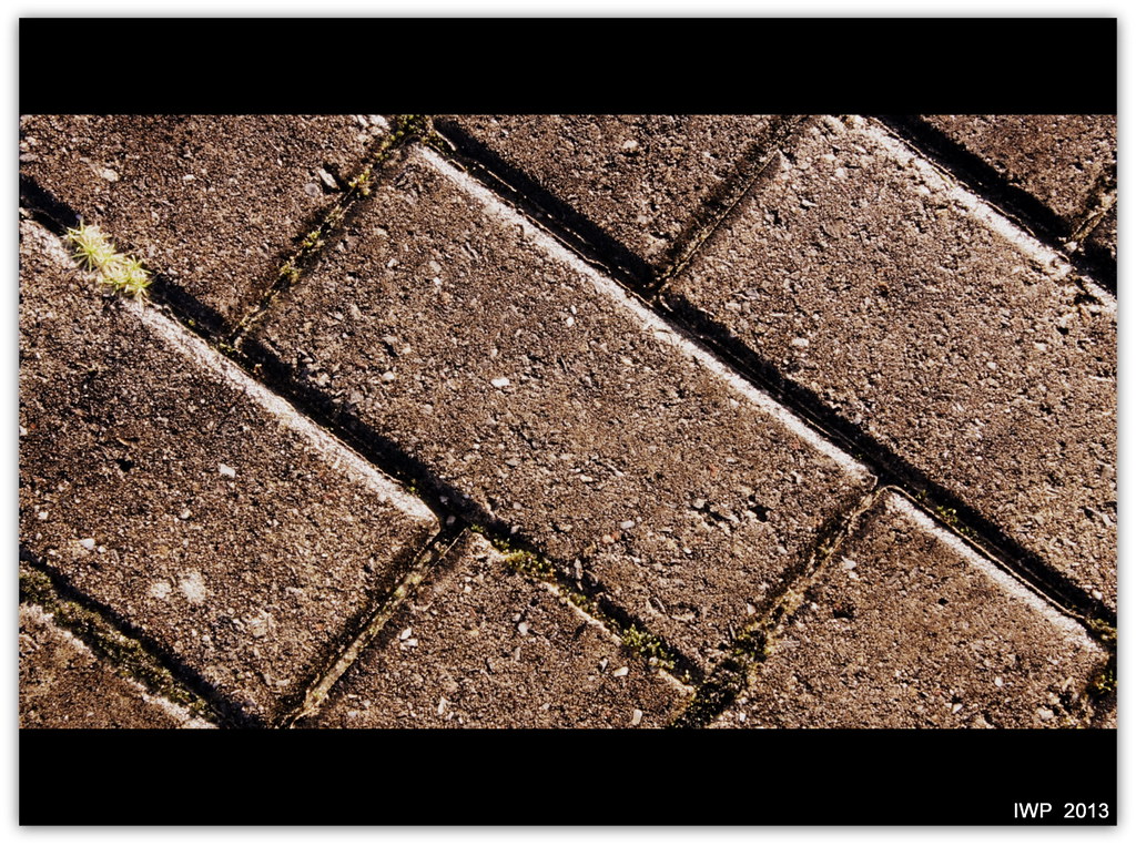 Photo Course - Textures, Patterns & Form | More like doodlin… | Flickr