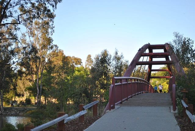Bridge over Lake Vasona