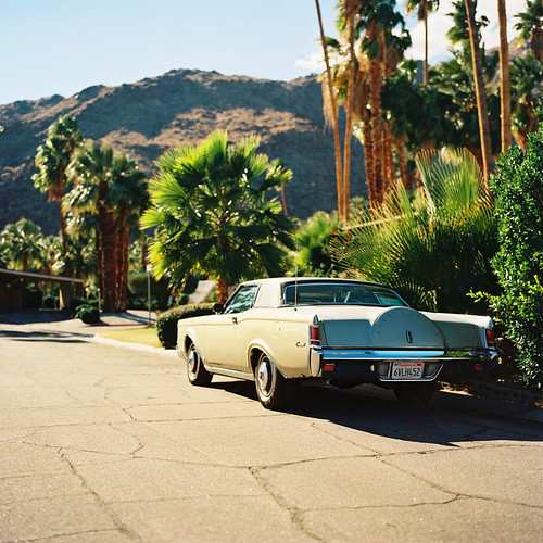 Palm Springs | by lyes k