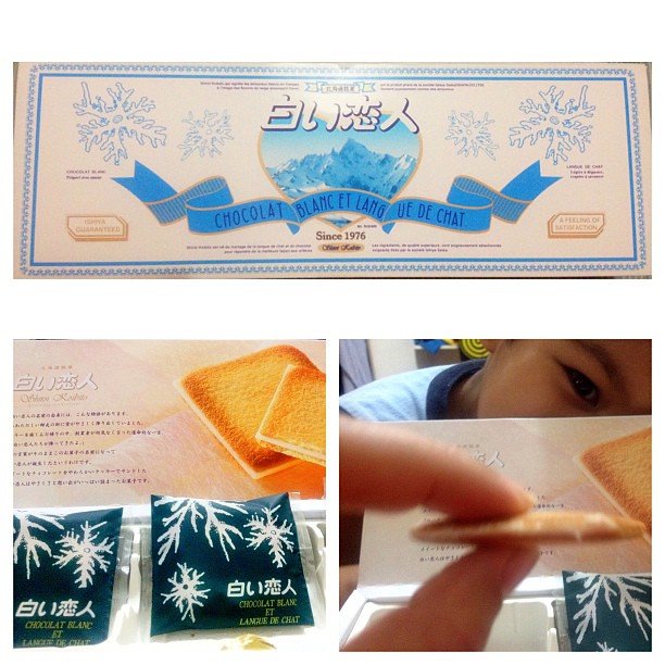 My sister shared this with us. Yummy! White chocolate between thin biscuits...melts in your mouth...boys love it! Shiroi Koibito Chocolat Blanc Et Langue De Chat #shiroikoibito