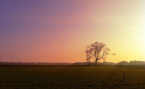 sunset tree field mobile germany bayern bavaria rays mariko iphone erding mobilephotography iphone4 iphonephotography kronthalerweiher iphoneography uploaded:by=flickrmobile flickriosapp:filter=nofilter