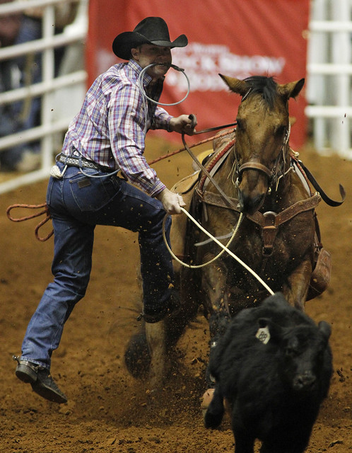 Stock Show Rodeo, Cody Owens scored 10.3 in tie-down roping…