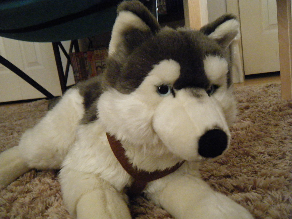 Uni-Toys Neuware wunderschöner liegender Hund Husky ca 35cm lang 