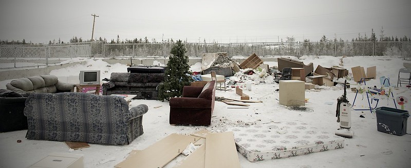 At Home at the Yellowknife Dump