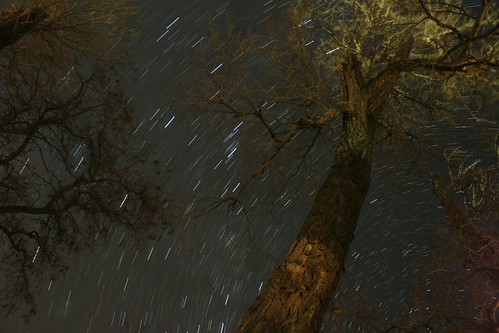 Untitled | by BlaisOne