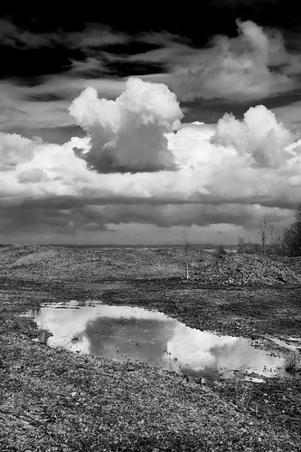 Reflected | by Tederick Salvador