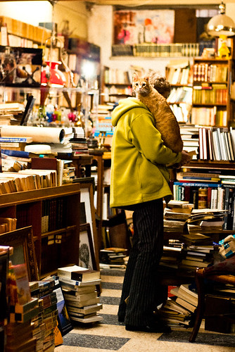 Bookstore Cat | by Flávio Filho(Flavikun)