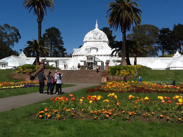 PSA: Beautiful day to visit the poppies in Golden Gate Park