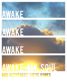 Awake My Soul