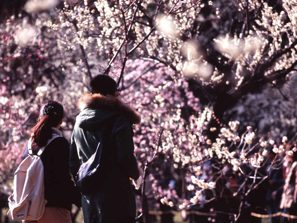 Plum Garden