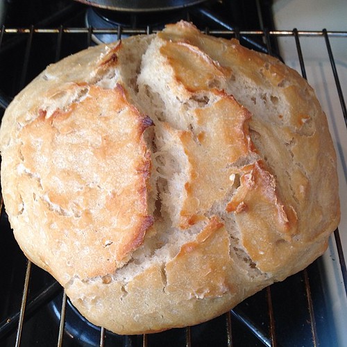 #kvptgif No-knead bread. Not bad! Still a little dense. #kvpinmybelly #baking #bread #foodspotting