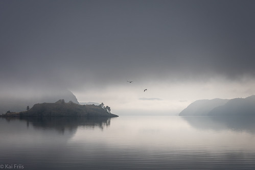 fjord morning fog island calm mystic birds