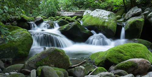 creek water nature forest rocks greatsmokymountains motion