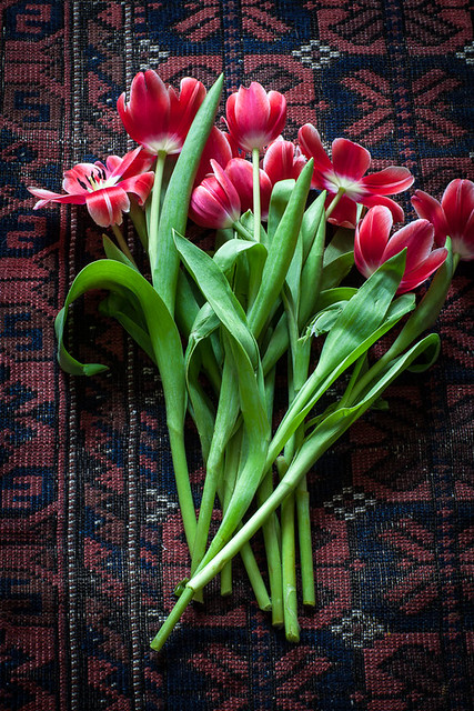 Time for tulips on the red carpet