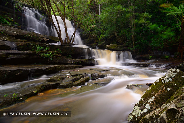 Lower Cascades of Somersby Falls after Rain, Brisbane Water National Park, Central Coast, NSW, Australia
