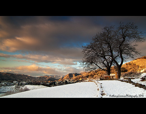 tree japan it nagano ueda snowed bloodycold ongakumura