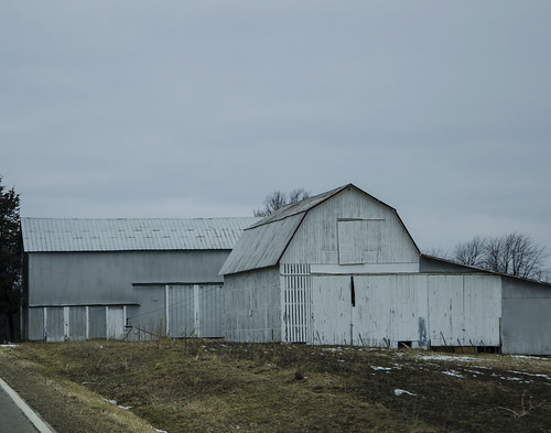 Gray skies and gray barns | by LindaB.