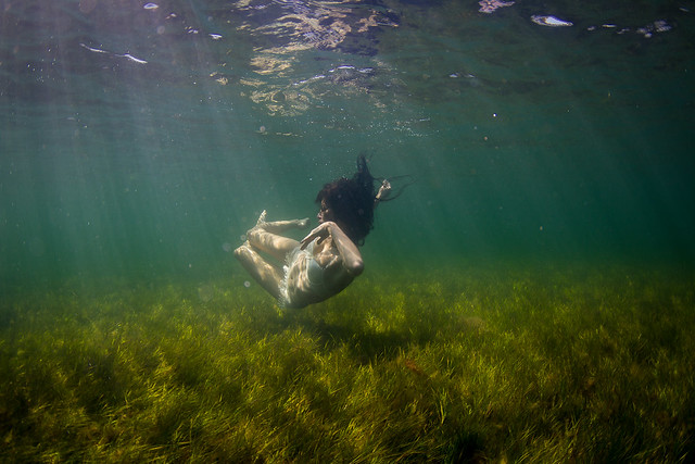 Bellentina at Rickett's Point