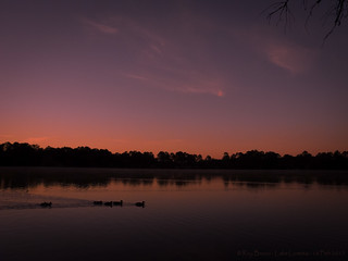 Sunrise - Lake Loretta