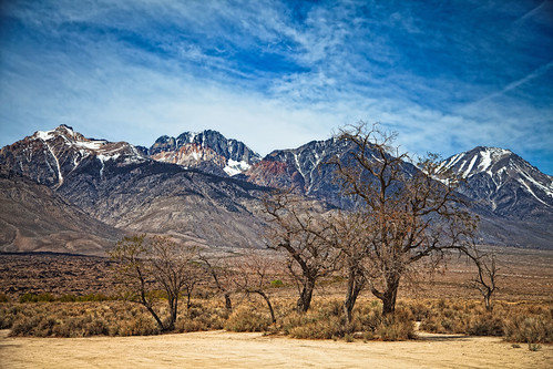 Split Mountain by Jeff D. Muth, A view of Split Mountain from Taboose Creek Campground, in the Owens Valley.
U.S. Highway 395
© 2013