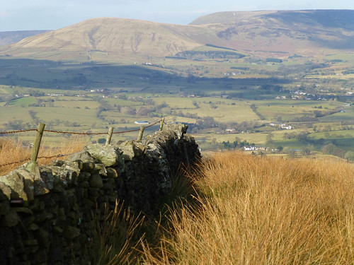 winter grass sunshine fence landscape countryside lancashire farms february friday drystonewall chipping hff ribblevalley forestofbowland bowlandfells parlickhill blinkagain