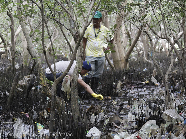 Adopt a Mangrove at Freedom Island