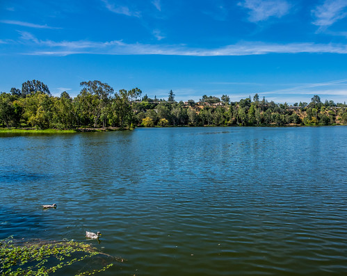 ca california vasonalakecountypark nature losgatos afternoon park lake recreational outdoor santaclaracountyparks unitedstates us ducks