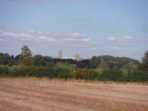 Ely Cathedral in the distance SWC Walk 118 Ely Circular 
